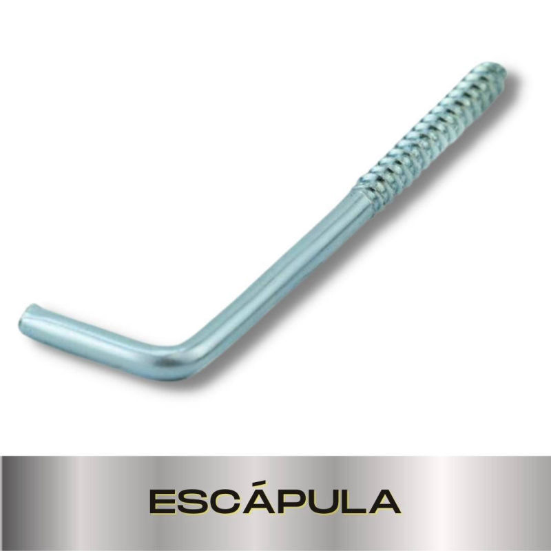 Parafusopar | Fixadores | Escápula