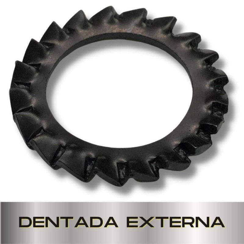Parafusopar | Arruela Dentada Externa
